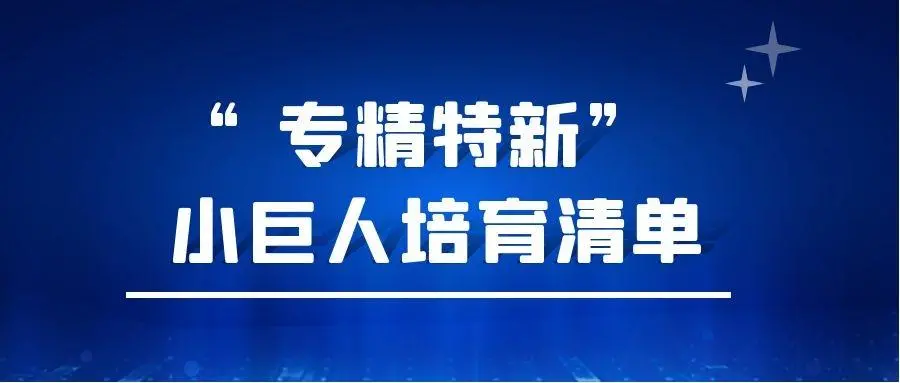 118家企业上榜！嘉兴首次发布“专精特新”小巨人培育清单
